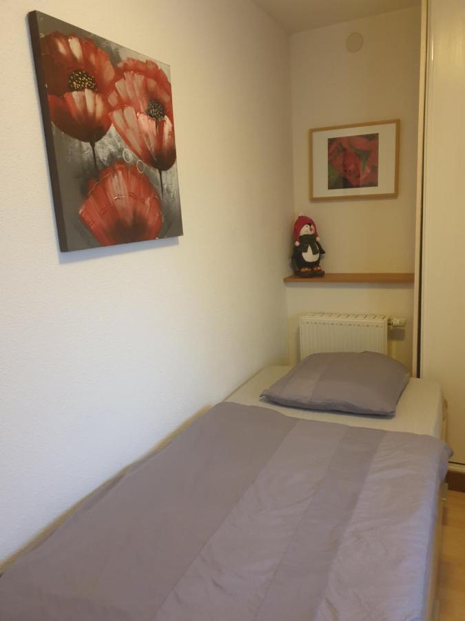 Appartement Proche D'Europa Park/Marches De Noel Rhinau エクステリア 写真