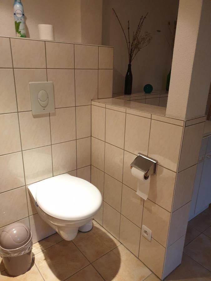 Appartement Proche D'Europa Park/Marches De Noel Rhinau エクステリア 写真