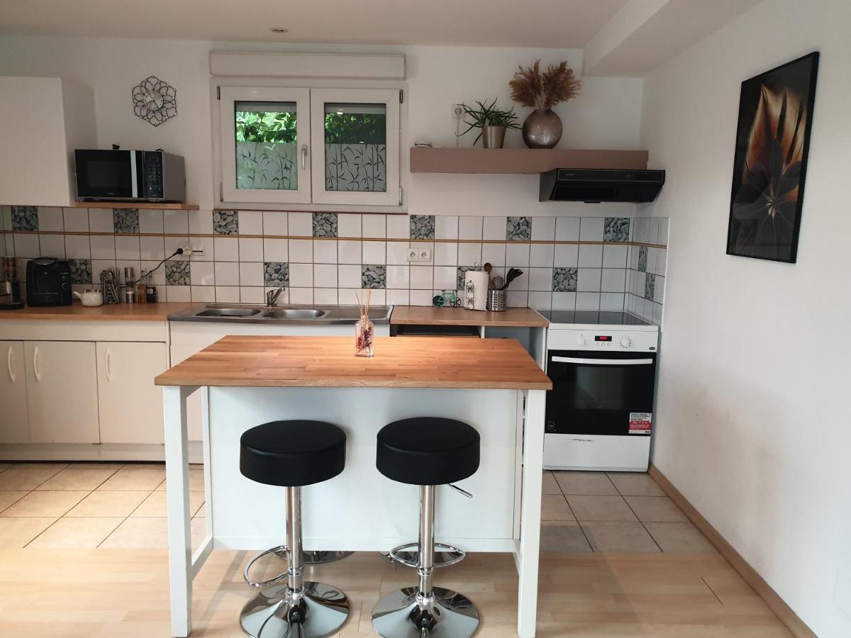 Appartement Proche D'Europa Park/Marches De Noel Rhinau エクステリア 写真